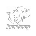 Hadoop Programming logo